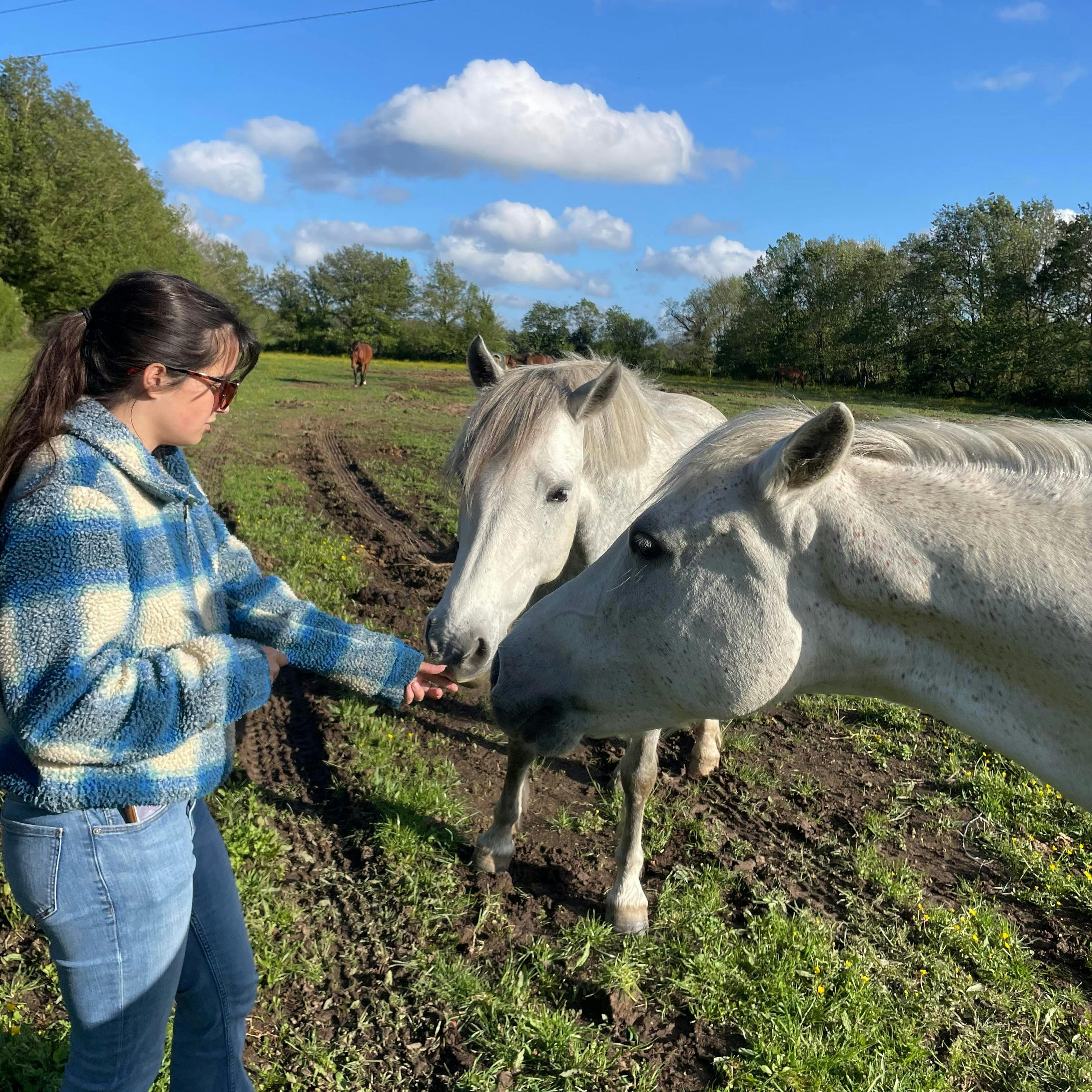 6BA7A25A-34EC-4E1D-9F06-0DD1C875E33A